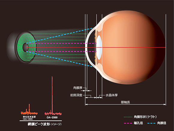 光学的眼軸長測定　OA2000